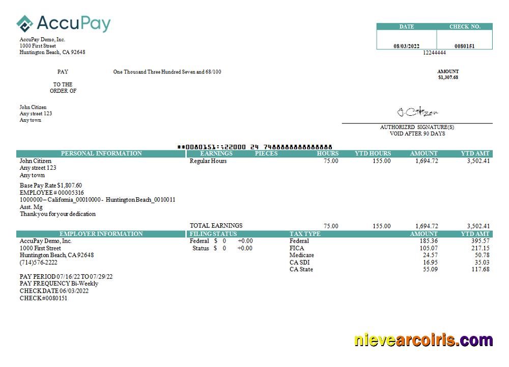 USA Accupay Demo Inc. payroll company